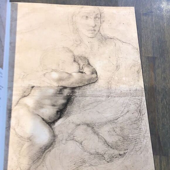 The complete Works of Michelangelo Vatican, edition - Picture 11 of 12